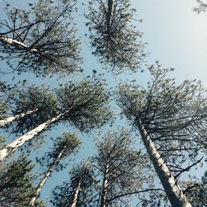 Meet your Posher, Elle